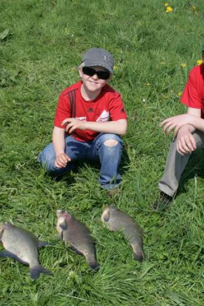 Jonas & Ole Töpfel, 3 Brassen