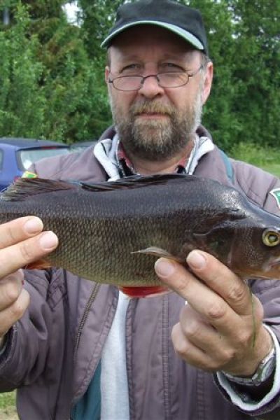 Thomas Gertje, Zander