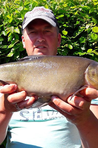 Andreas Ufen, Schleie