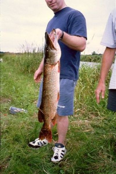 Urlauber Ferienhof Oltmanns, Hecht (Aper Tief)