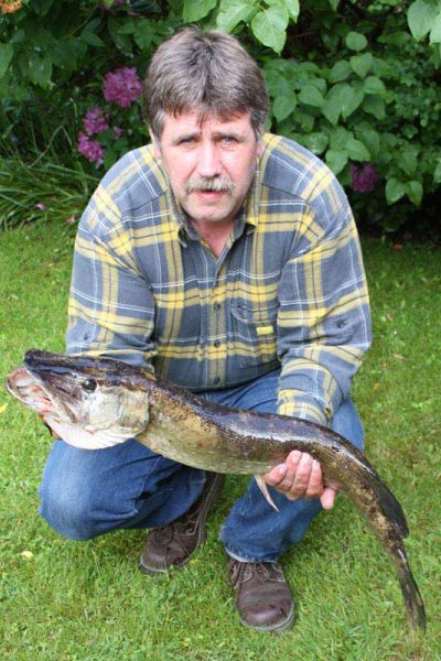 Bernhard Hollje, Hecht