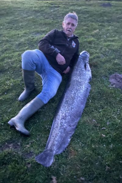 Bernhard Hollje Wels