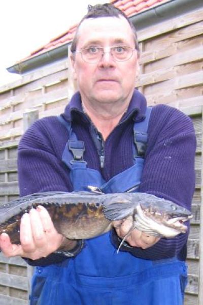 Erwin Cordemann, Quappe