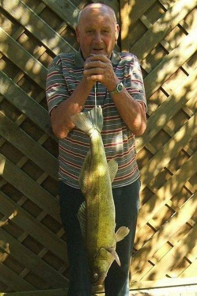 Achim Schmieder, Zander