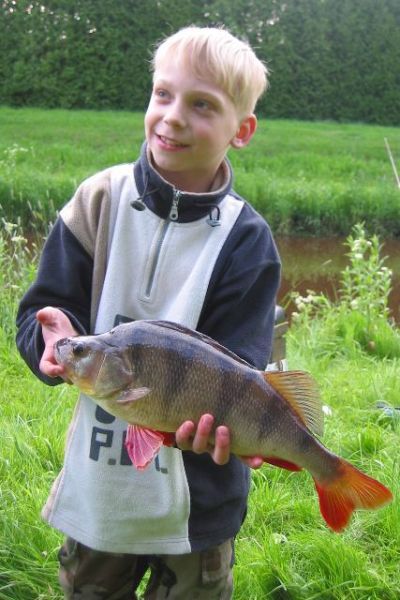 Thorben Wientgens, Barsch