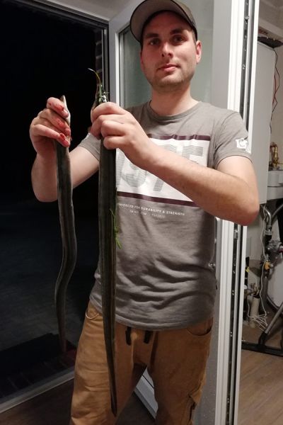 Tobias Schwirk, Aale