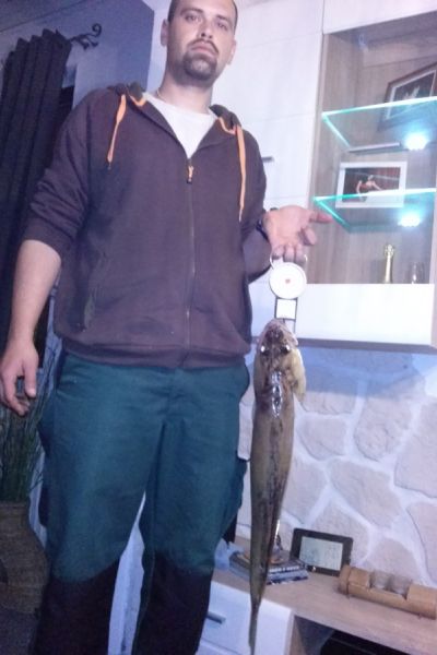 Andre Lehmann, Zander