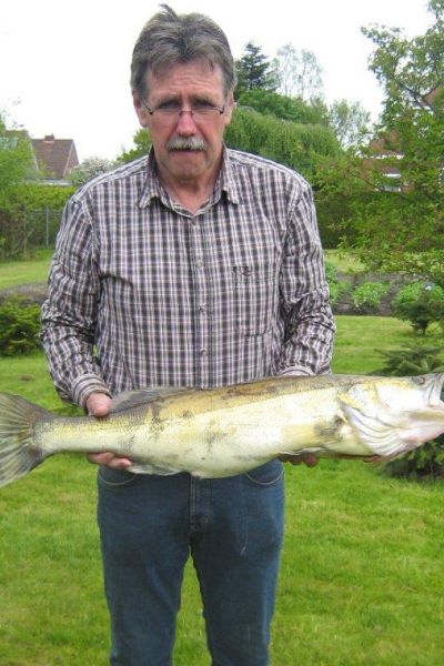 Bernhard Hollje, Zander