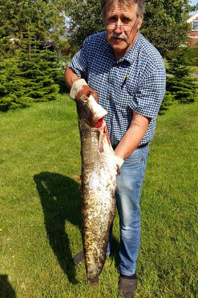 Bernhard Hollje mit Wels