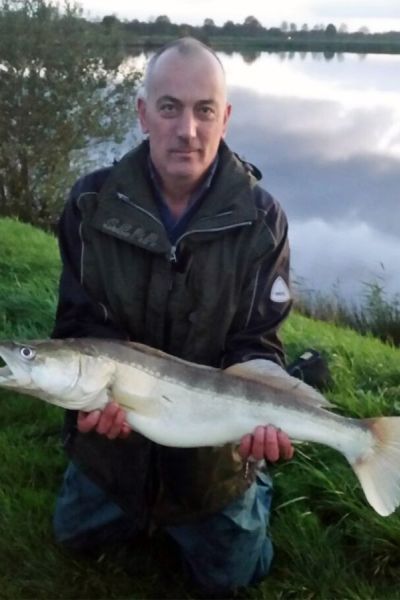 Dirk Oltmanns, Zander