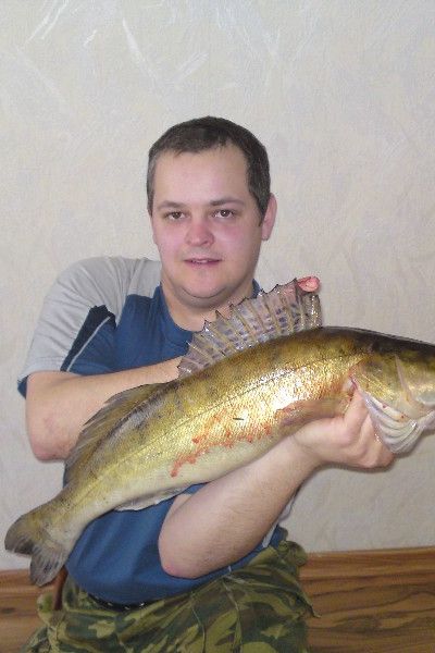 Alexej Ott, 2 Zander