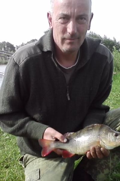 Dirk Oltmanns, Barsch