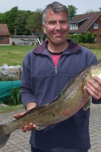 Klaus Wittphal, Zander