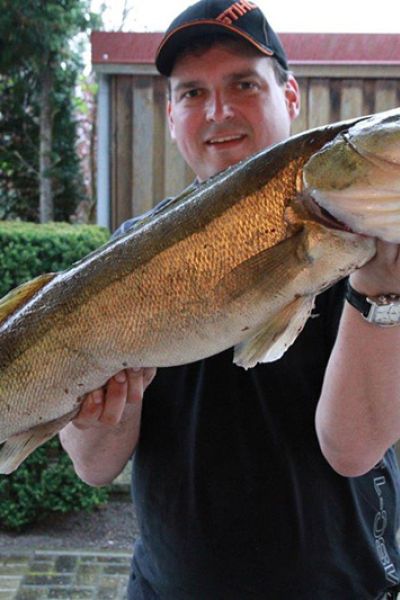 Thomas Gertje, Zander