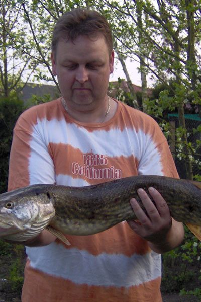 Mirco Hemken, Schleie