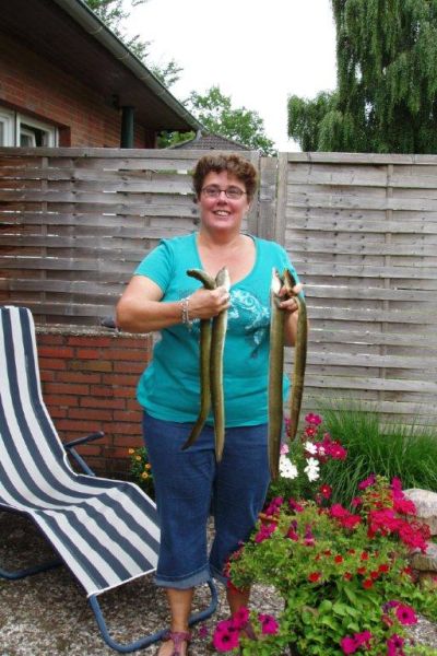 Änne Hollje, 4 kapitale Aale