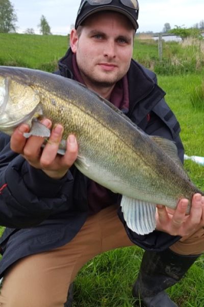 Tobias Schwirk, Zander