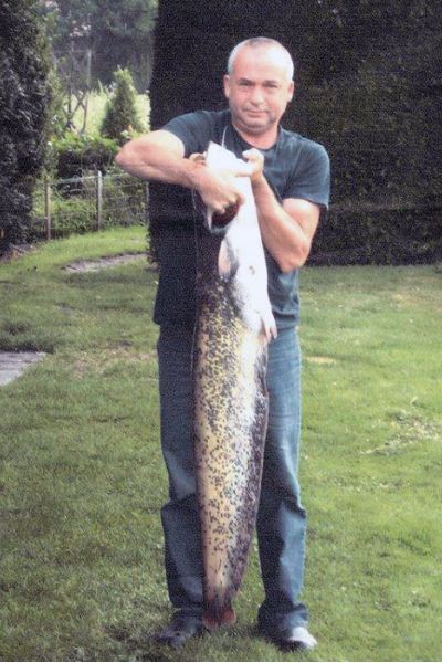 Brjgrowicz Zbignien, Wels