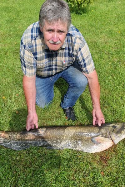 Bernhard Hollje Wels