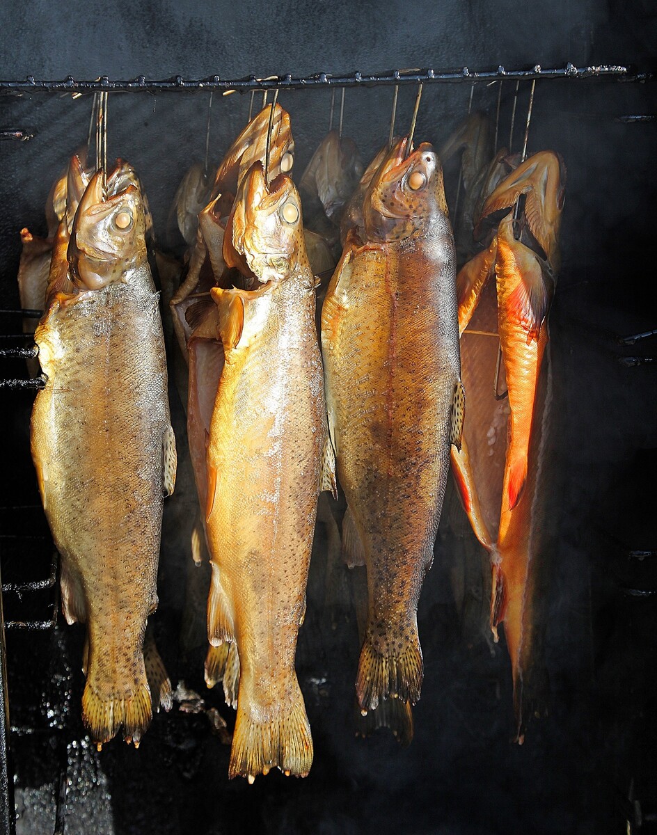 Fischerlehrgang 
