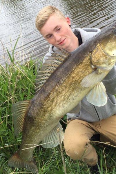 Kevin Steinhorst, Zander