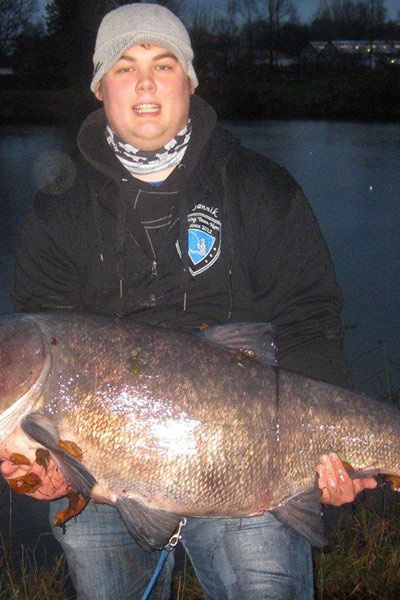 Jannick Agena, Marmorkarpfen