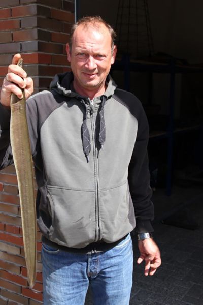 Jens Witthus, Aal