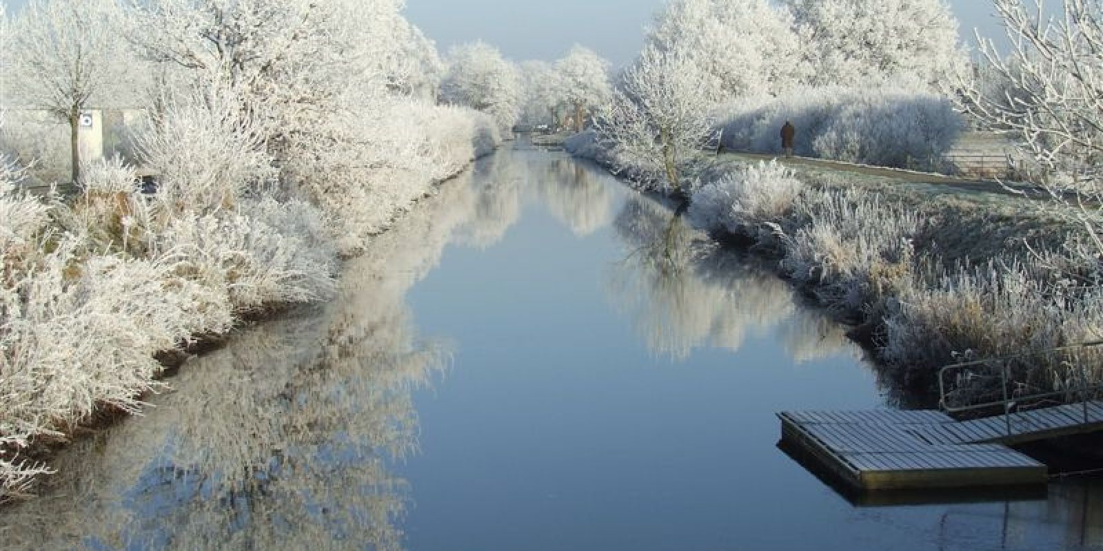 Fotos des Jahres 2024