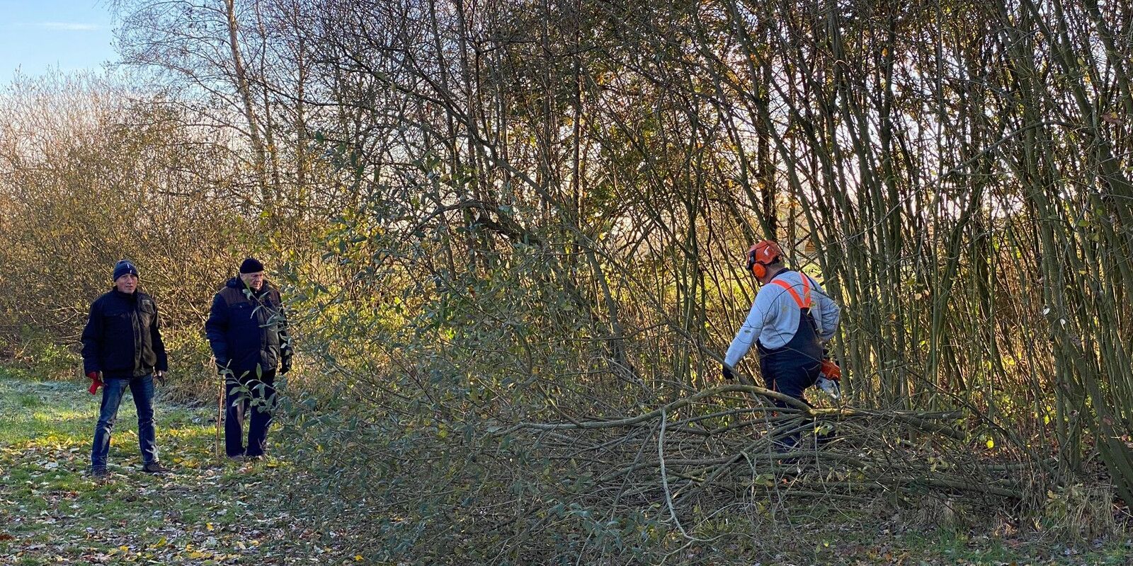 Sträucher schneiden am 16.11.2024