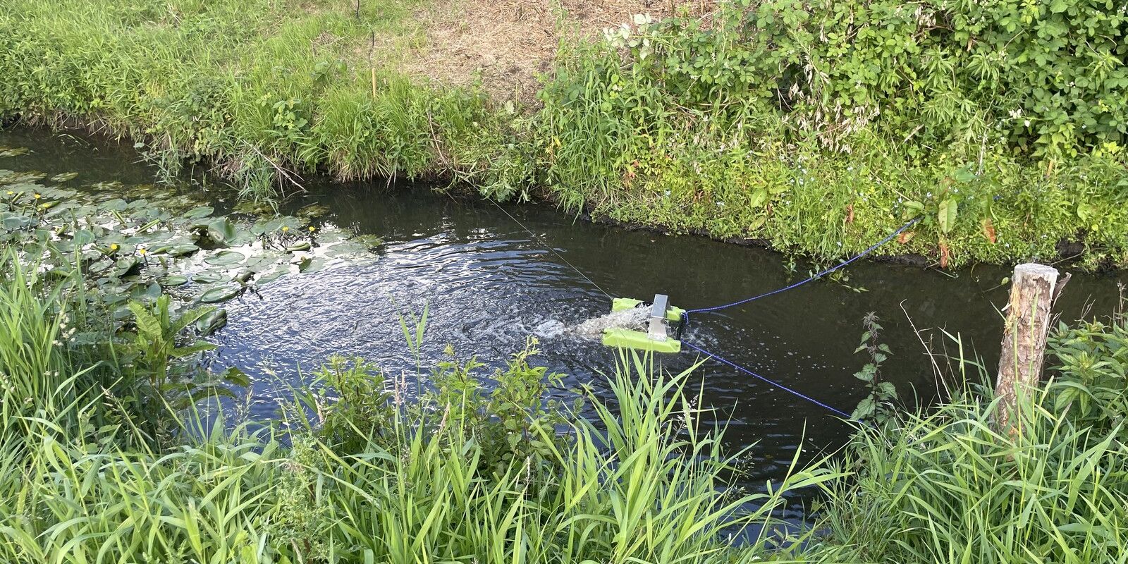 Fischsterben in der Kleinen Norderbäke