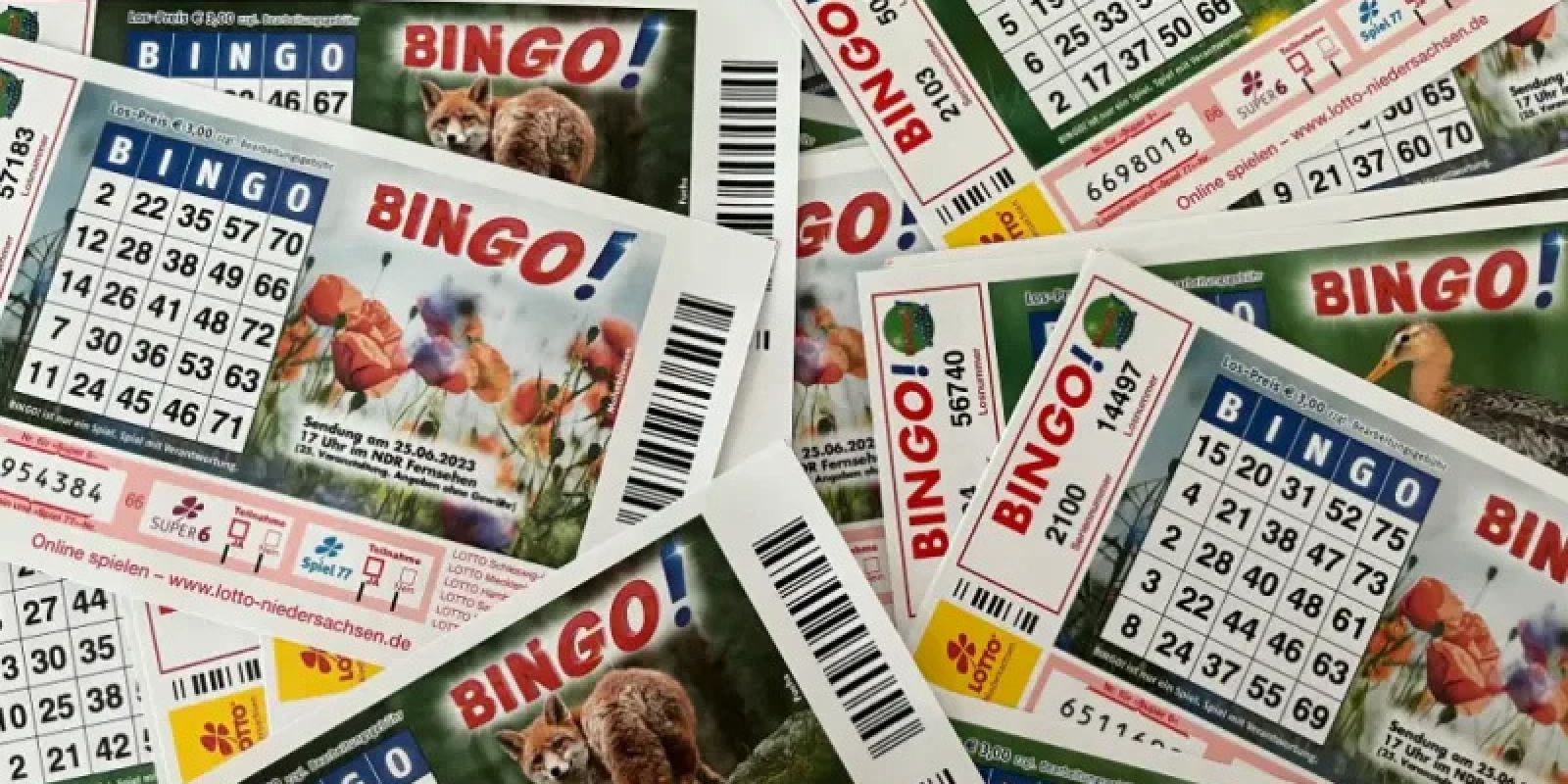 SFV rüstet sich für Zukunft