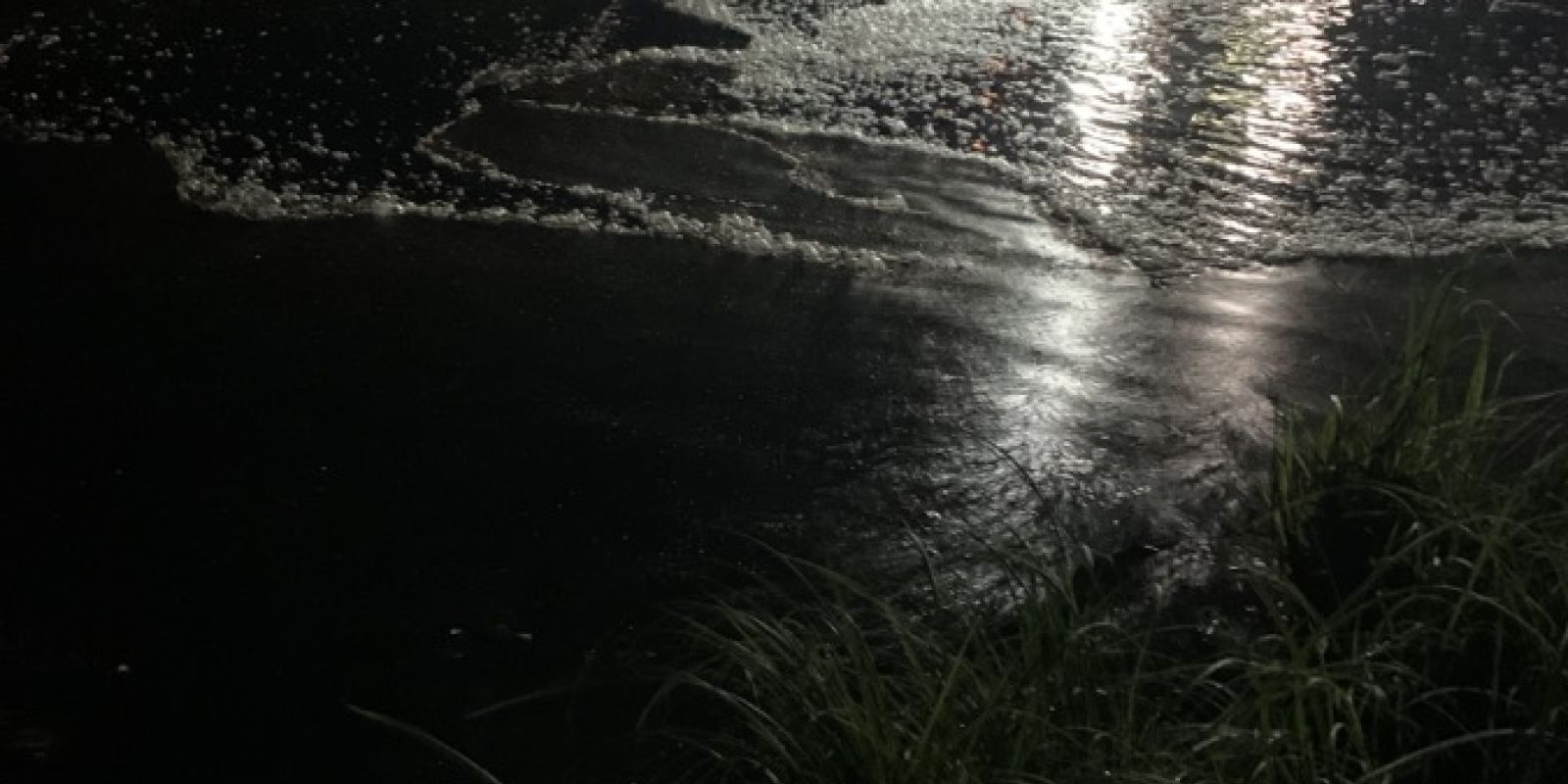 Aller guten Dinge drei?