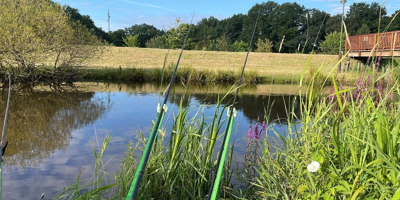 Tag des Anglers am 13.07.2025 in Apen